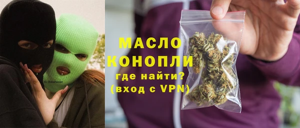 мет Алексин