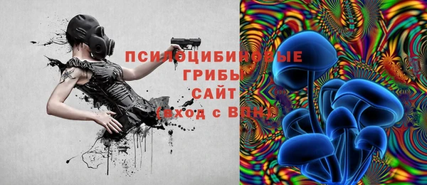 мет Алексин