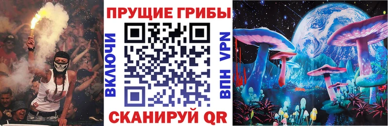 Галлюциногенные грибы прущие грибы Кропоткин